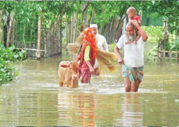 উত্তরের চার জেলায় তিস্তার থাবা: হাজারো মানুষ পানিবন্দি