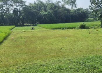 পূর্বধলায় জমি নিয়ে বিরোধে ফসল আবাদ বন্ধ, নিরাপত্তাহীনতায় ভুক্তভোগী পরিবার