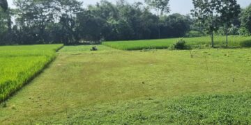 পূর্বধলায় জমি নিয়ে বিরোধে ফসল আবাদ বন্ধ, নিরাপত্তাহীনতায় ভুক্তভোগী পরিবার