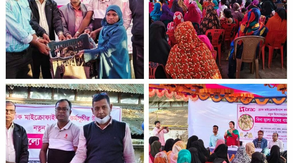 কলমাকান্দায় ব্র্যাক সদস্যদের মাঝে বিনামূল্যে ২ হাজার হাঁসের বাচ্চা বিতরণ