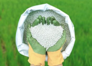 দেশে সার সরবরাহ স্থিতিশীল রাখতে ১ লাখ ৭০ হাজার টন সার ক্রয়ের প্রস্তাব অনুমোদন