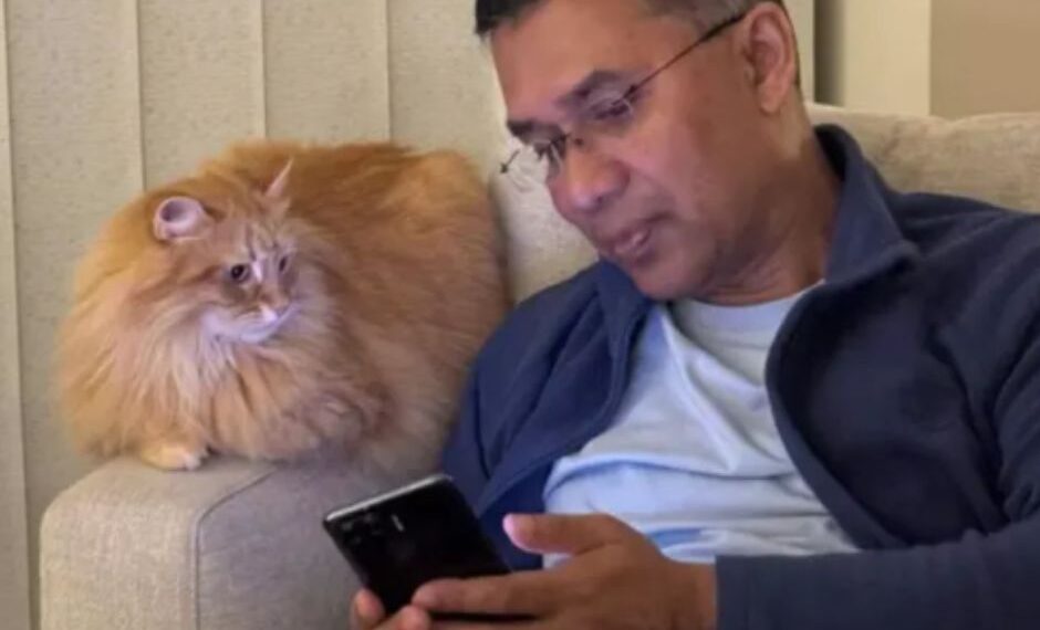 সোশ্যাল মিডিয়া সেনসেশন ‘জেবু দ্য ক্যাট